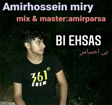 امیرحسین میری بی احساس